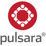 pulsara-logo-stacked@500x500 (1) (2).png